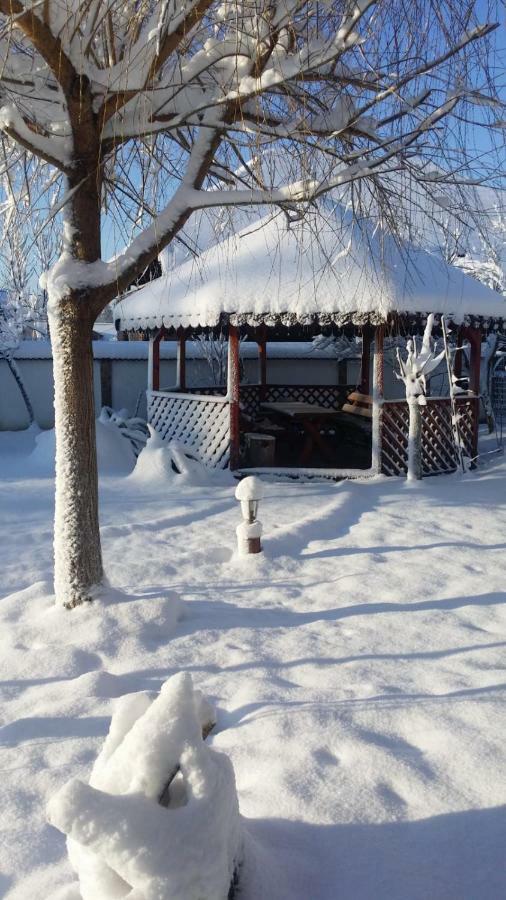 Casa De Vacanta Motata Novaci-Străini Exterior foto